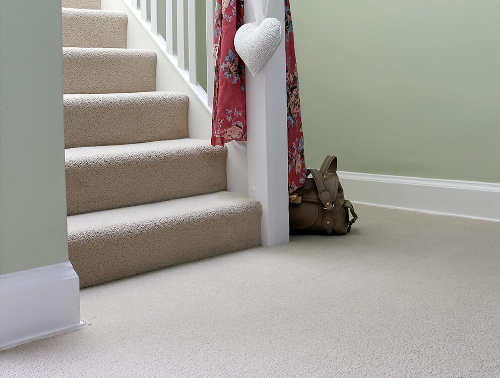 carpet cleaners clitheroe